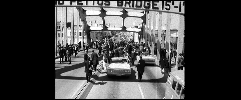 すべてをかけて：民主主義を守る戦いの画像