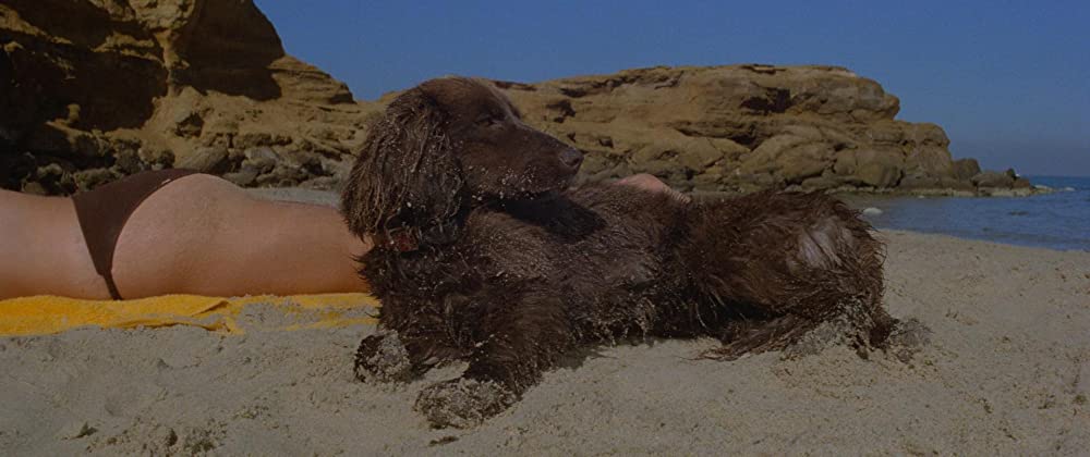 マッドマックスの画像