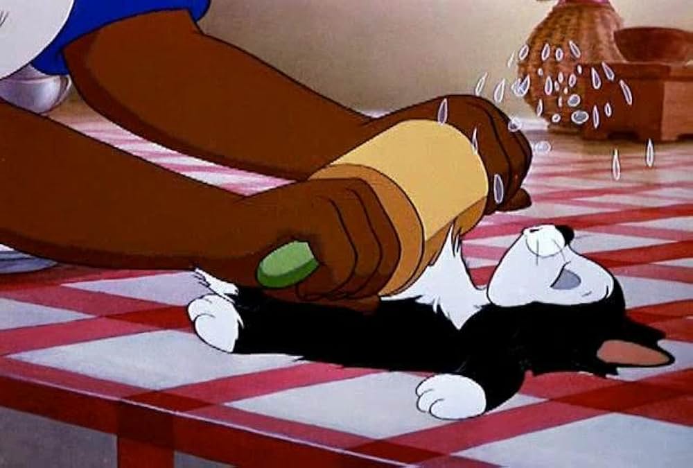 フィガロとクレオの画像