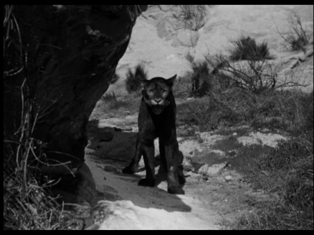 Spy Hunt（原題）の画像