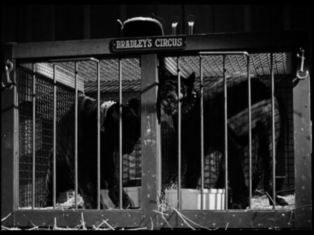 Spy Hunt（原題）の画像