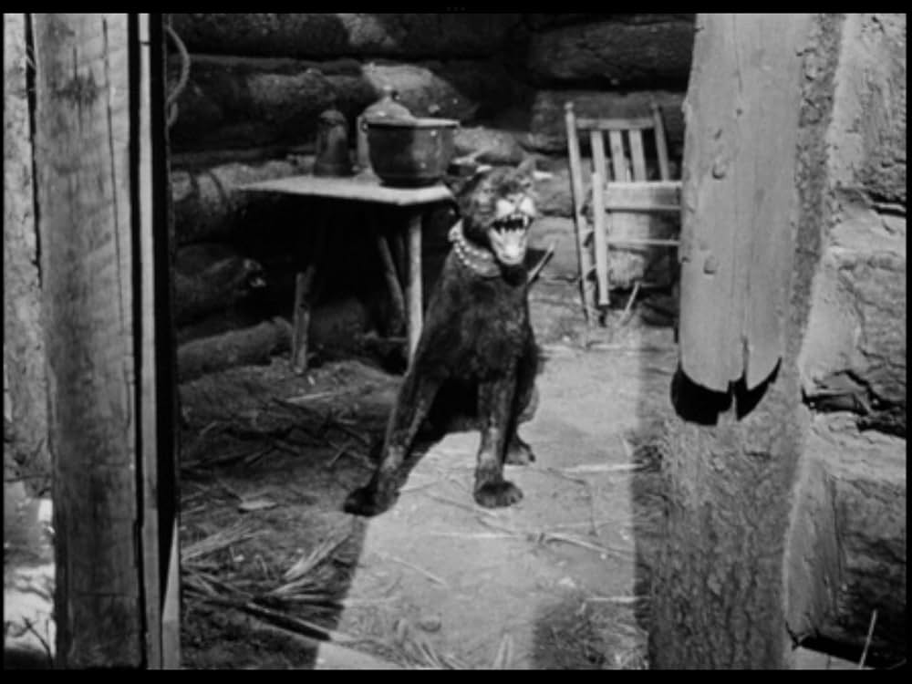 Spy Hunt（原題）の画像