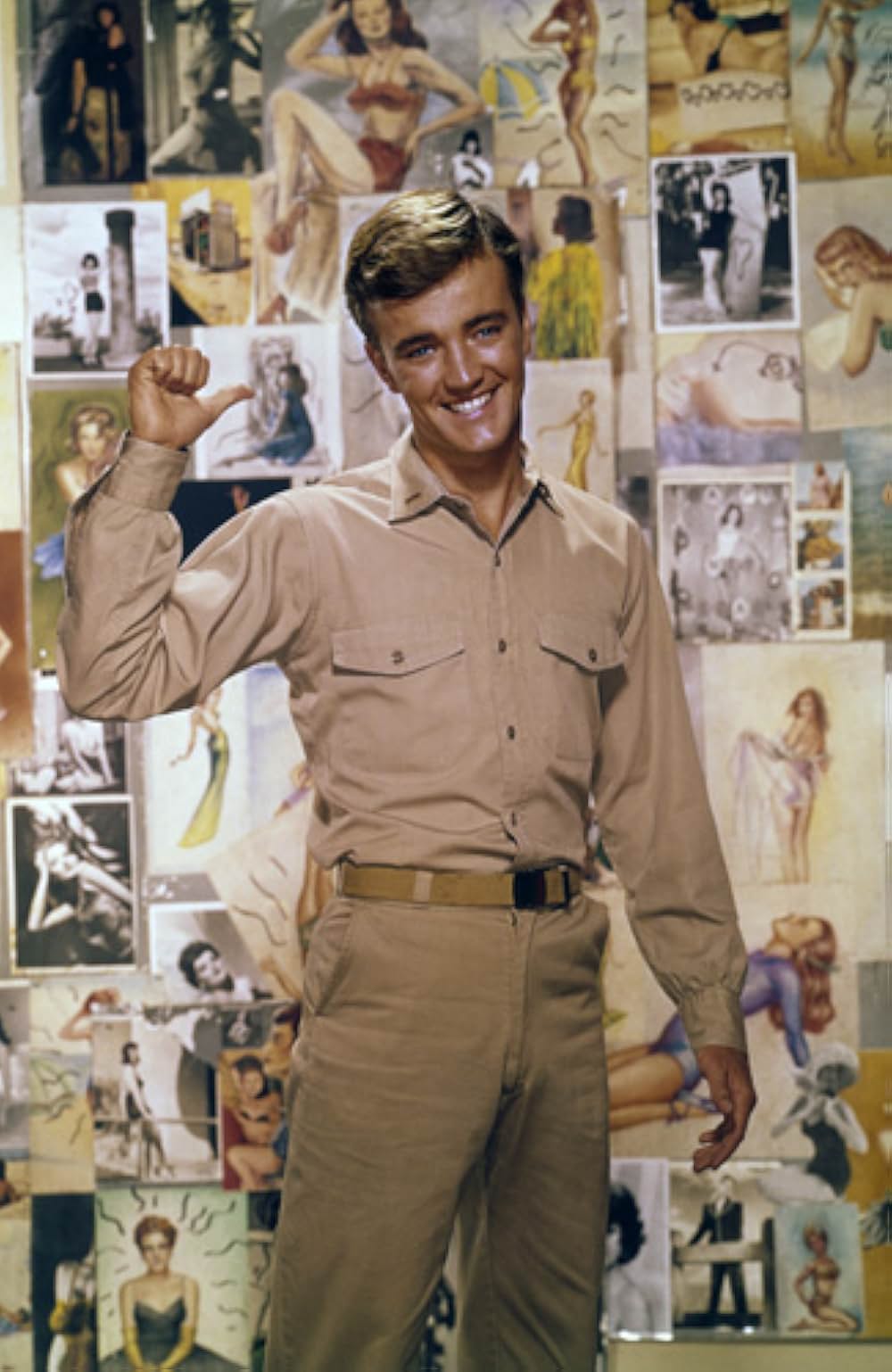 ミスタア・パルバーの画像