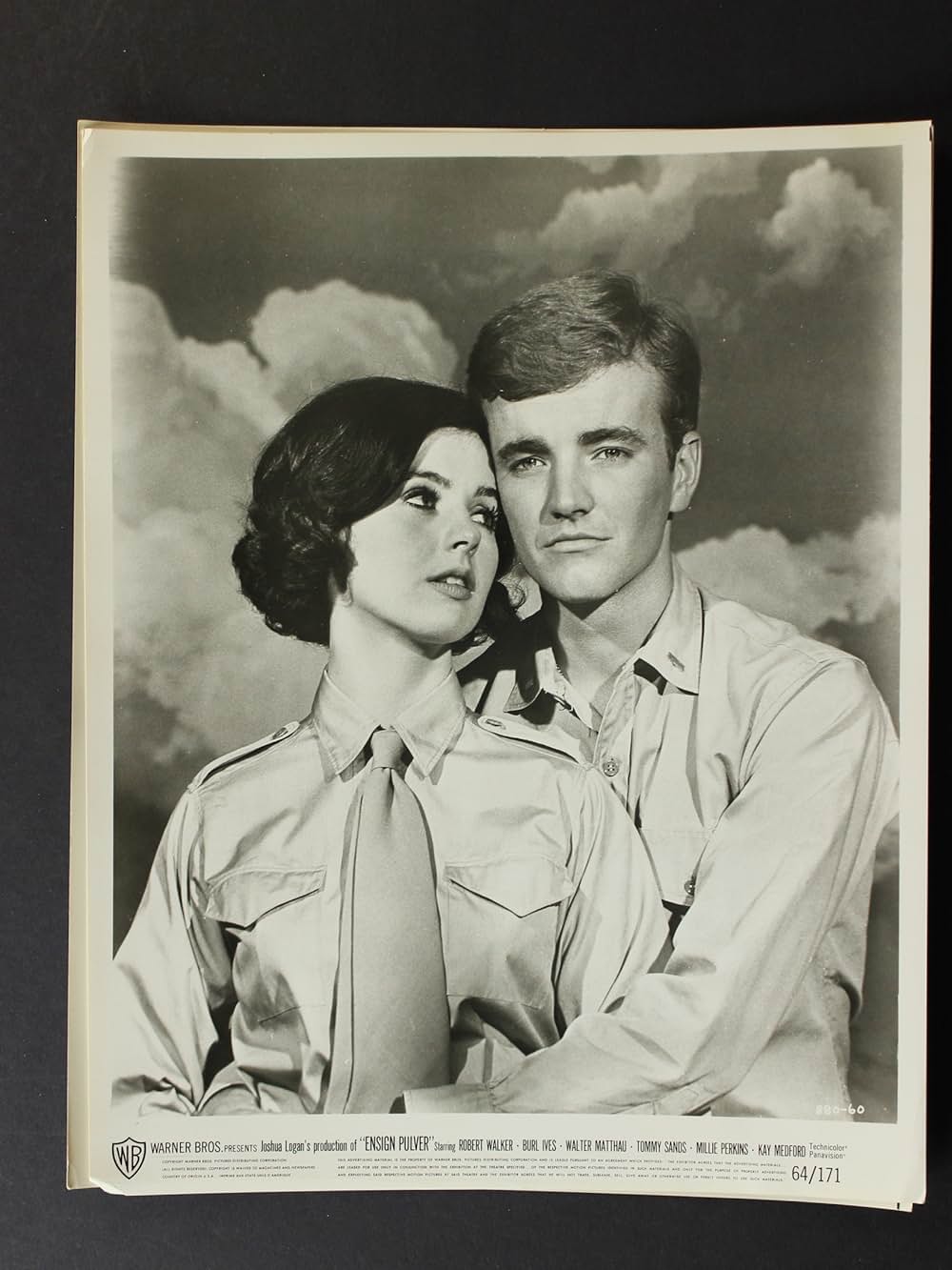 ミスタア・パルバーの画像