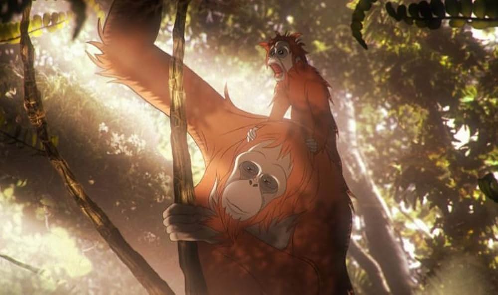 ケンスケの王国の写真