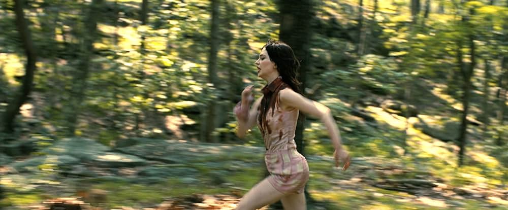 コンパニオンの画像