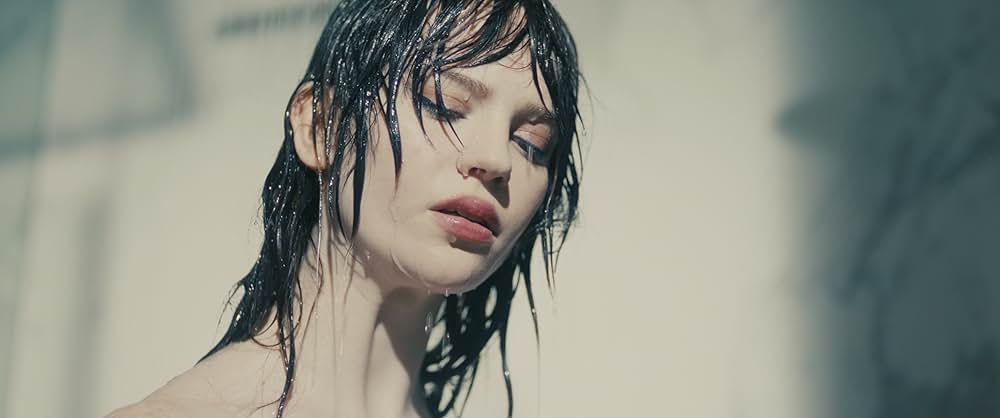 コンパニオンの画像