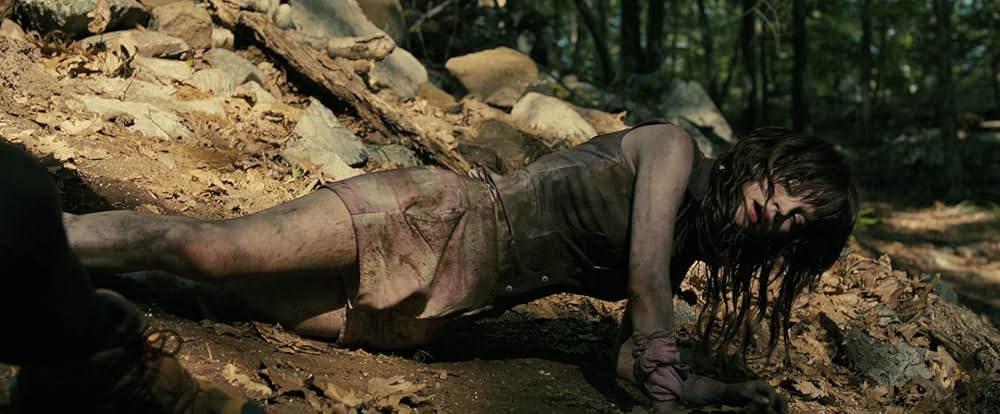 コンパニオンの画像