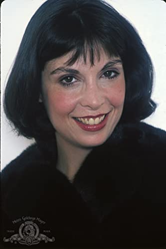 ロッキー2の画像