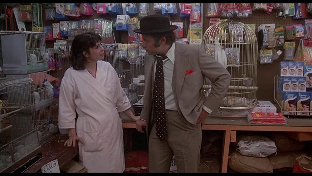 ロッキー2の画像