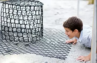 ラスト・ソングの画像