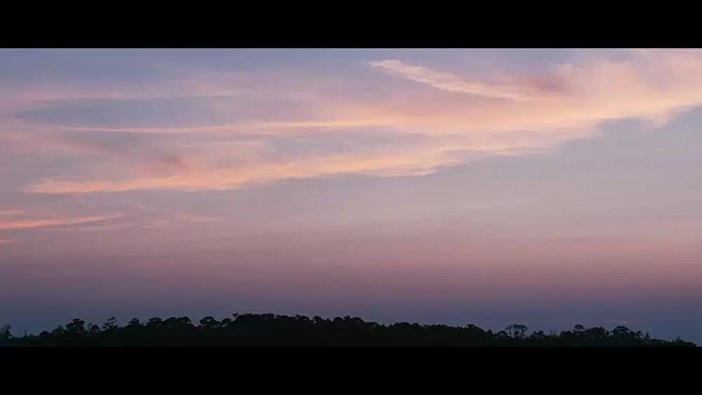 ラスト・ソングの画像