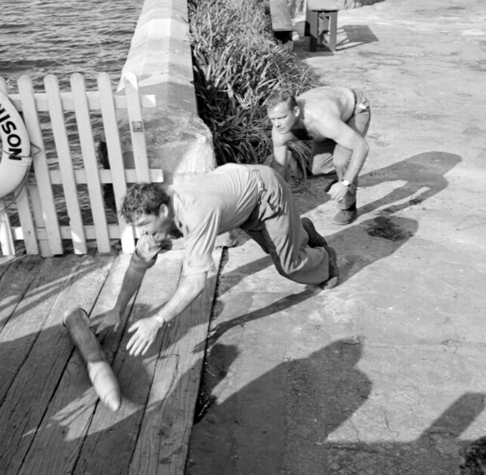 全市爆砕！の画像