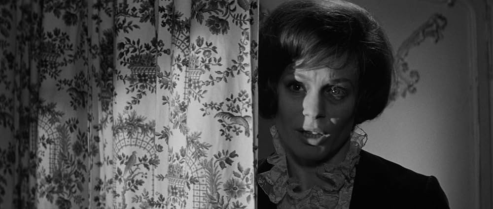 死刑台への招待の画像