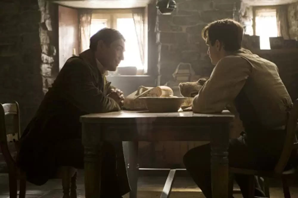 スターダストの画像