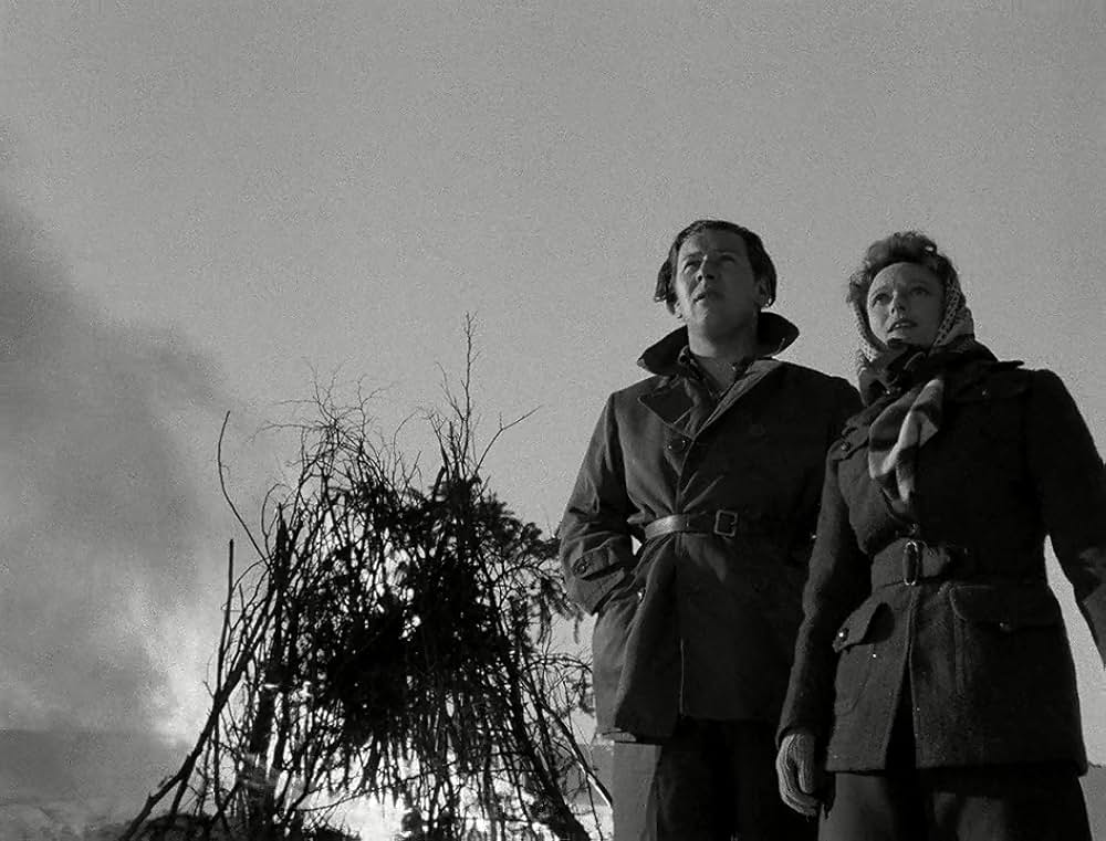 Odette（原題）の画像