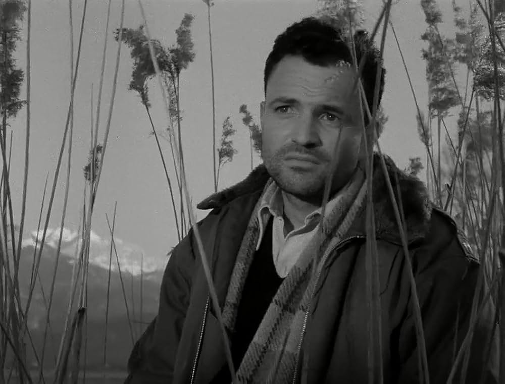 Odette（原題）の画像