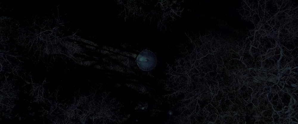 Daddy's Head（原題）の画像