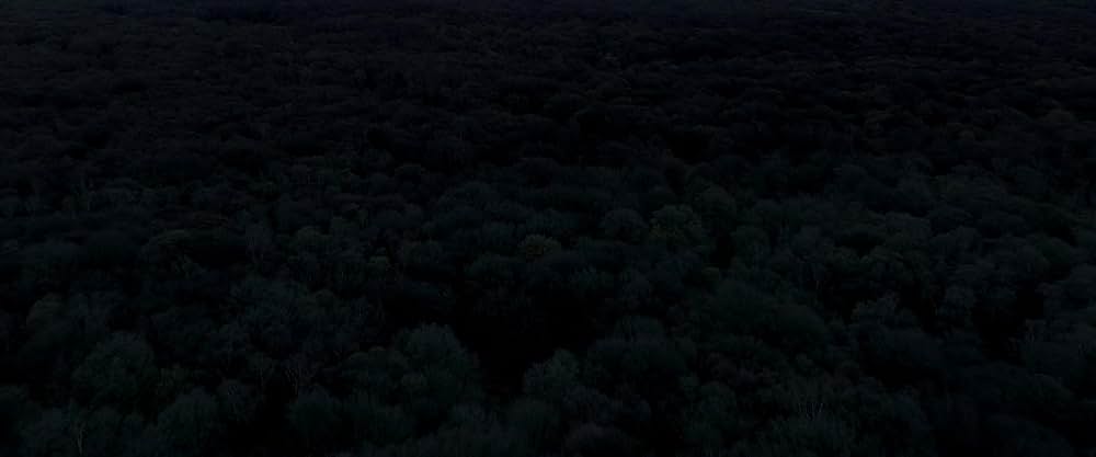 Daddy's Head（原題）の画像