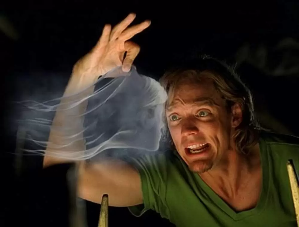 スクービー・ドゥーの画像