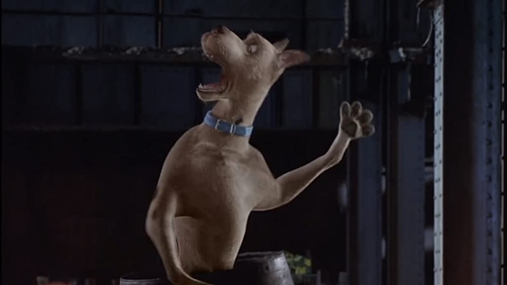 スクービー・ドゥーの画像