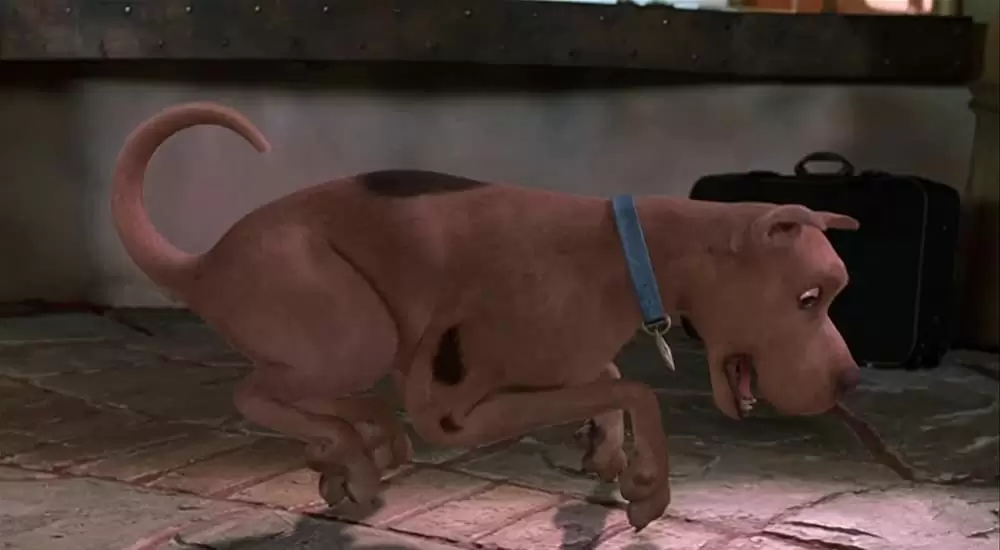 スクービー・ドゥーの画像