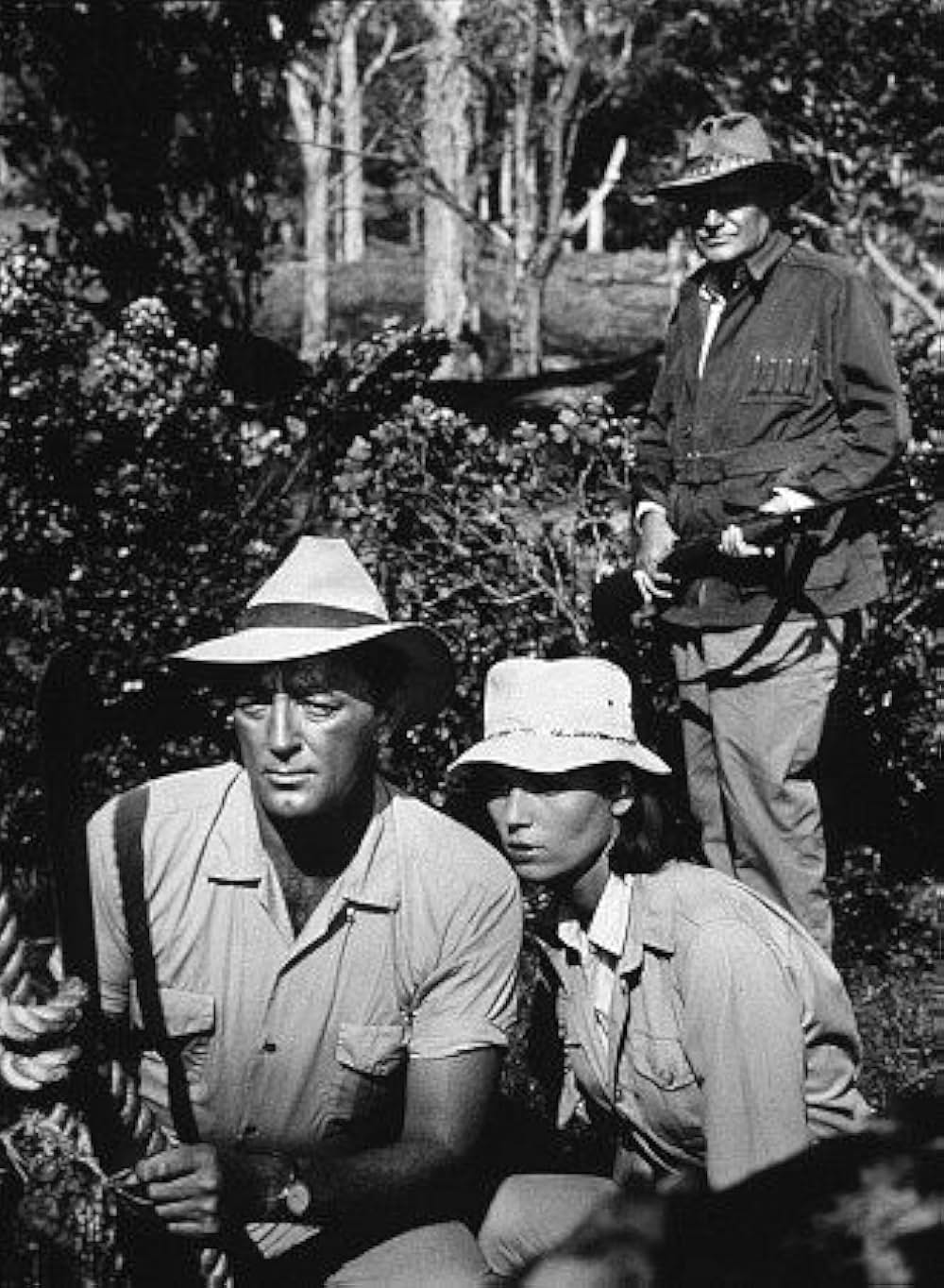 ランページの画像