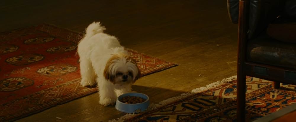 セブン・サイコパスの画像