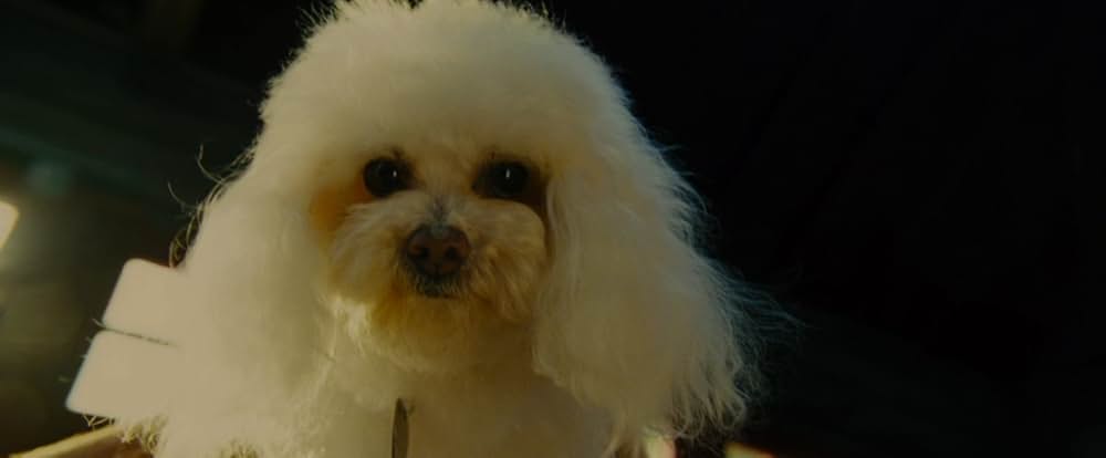 セブン・サイコパスの画像