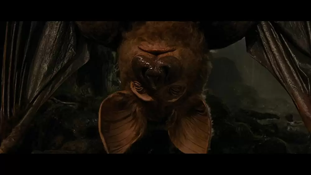 ネバーエンディング・ストーリーの画像