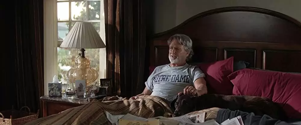 そんな彼なら捨てちゃえば？の画像