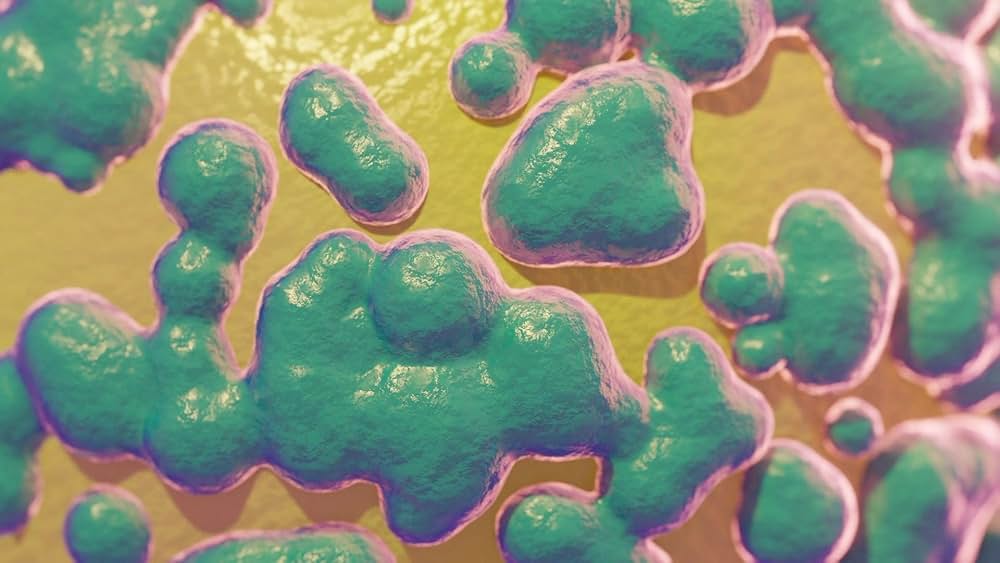 Boys Go to Jupiter（原題）の画像