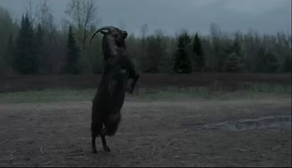 ウィッチの画像