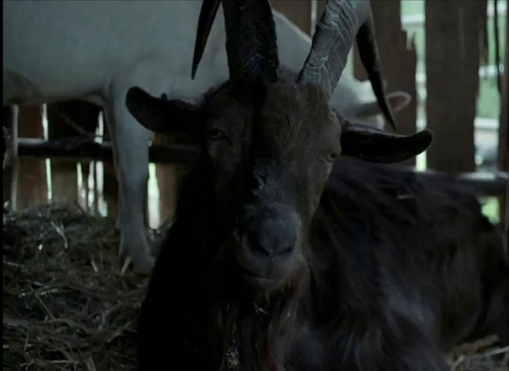 ウィッチの画像