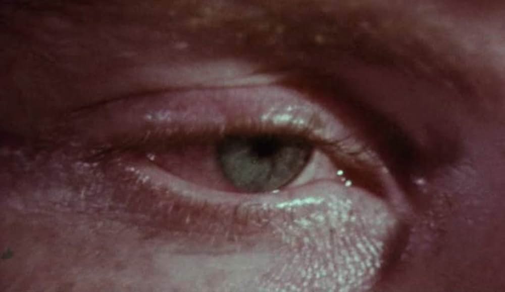 エッグシェルズ（原題）の画像