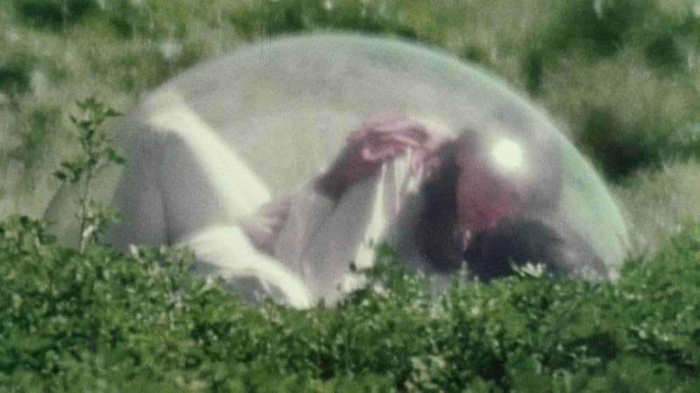 エッグシェルズ（原題）の画像