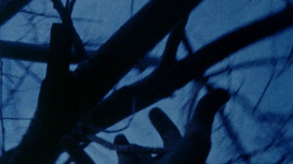 「夜への前ぶれ」の画像