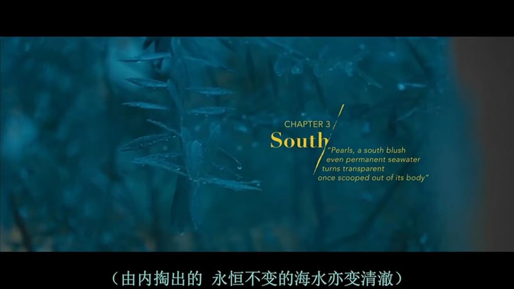 アンドレ・チャンとオリーブの木の画像