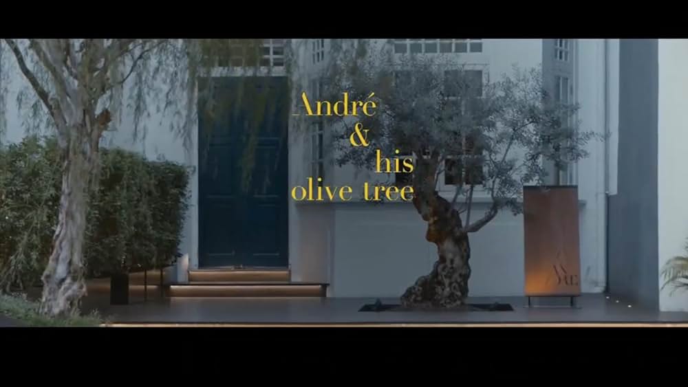 アンドレ・チャンとオリーブの木の画像