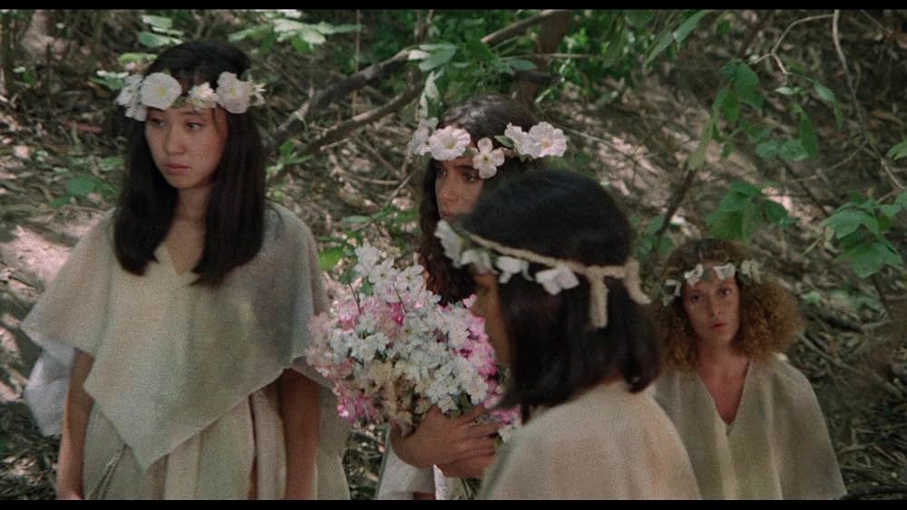 聖戦士アマゾンズの画像