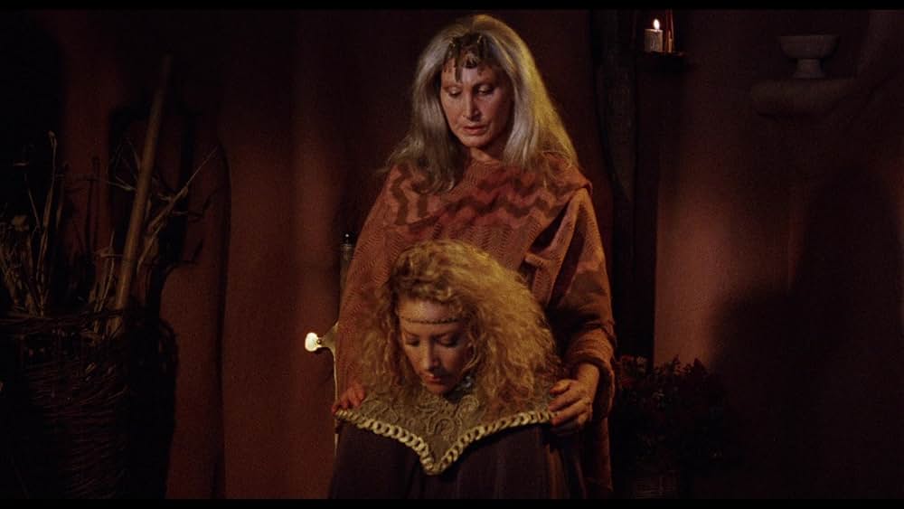 聖戦士アマゾンズの画像