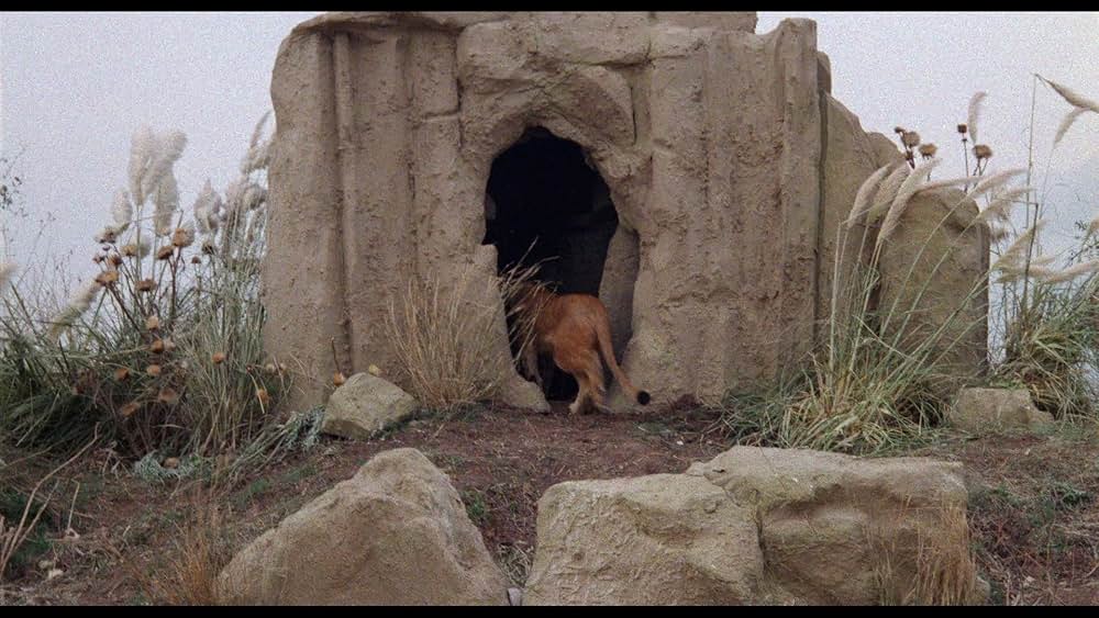 聖戦士アマゾンズの画像