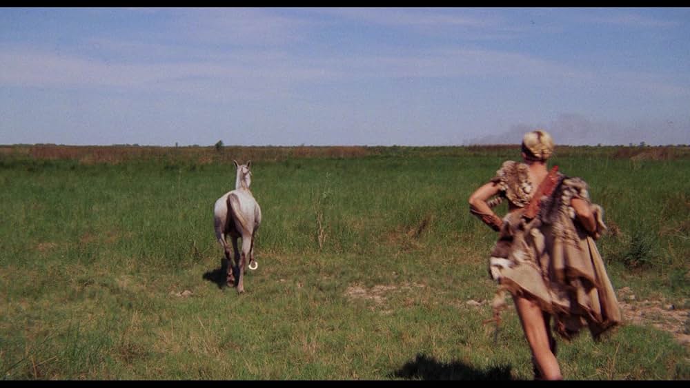 聖戦士アマゾンズの画像