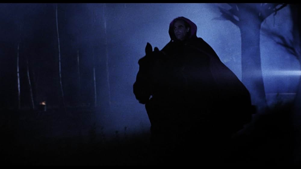 聖戦士アマゾンズの画像