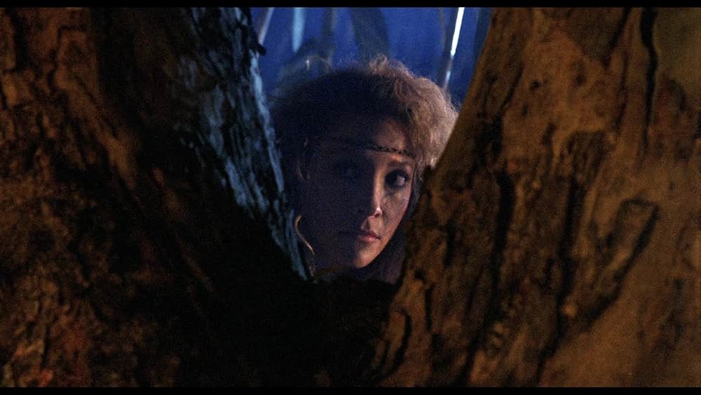 聖戦士アマゾンズの画像