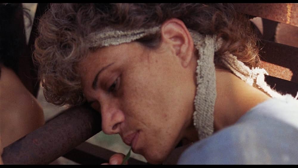 聖戦士アマゾンズの画像