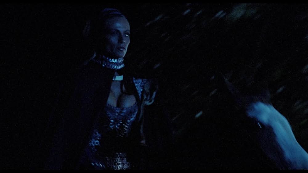 聖戦士アマゾンズの画像