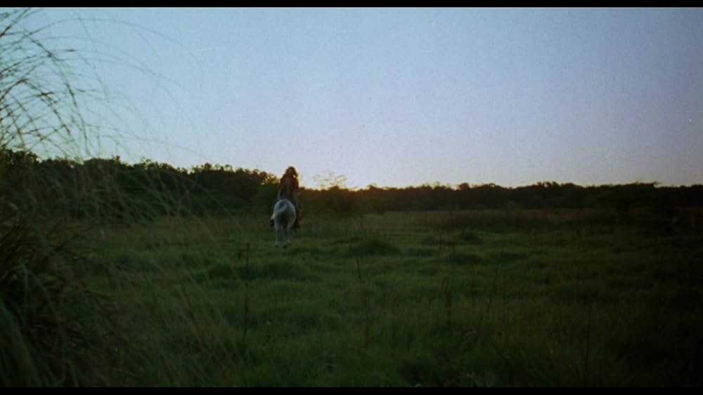 聖戦士アマゾンズの画像