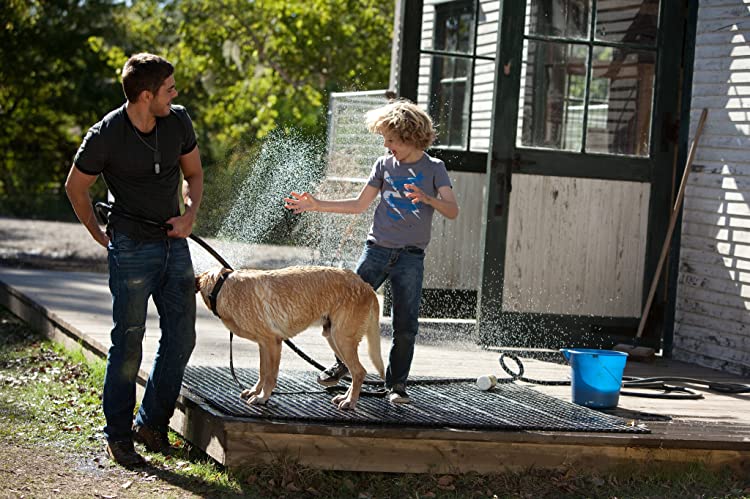 一枚のめぐり逢いの画像