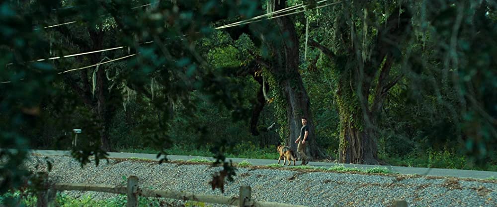 一枚のめぐり逢いの画像